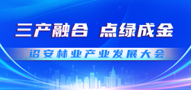 �t���֘I(y��)�a(ch��n)�I(y��)�l(f��)չ���